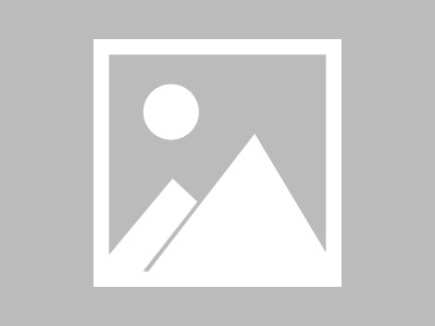 批发建材行业市场趋势与竞争格局分析