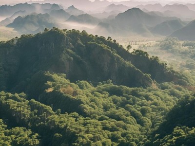 草原的建材新纪元，开启未来建筑的新篇章